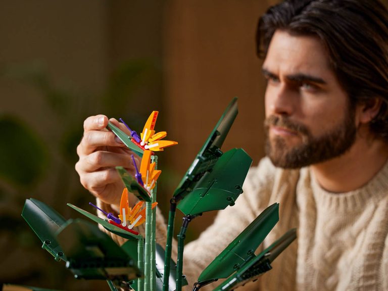 LEGO Icons 10289 - Paradiesvogelblume - Produktbild 02