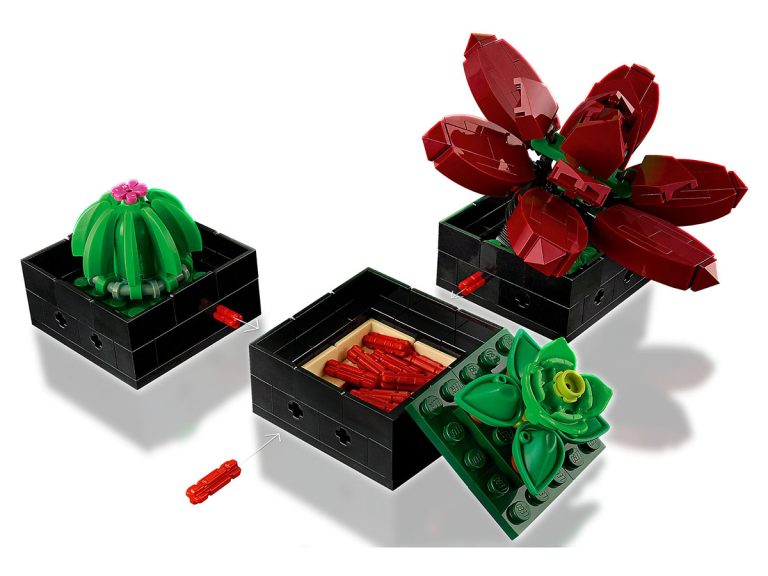 Sukkulenten LEGO Icons 10309 - Sukkulenten - Produktbild 04
