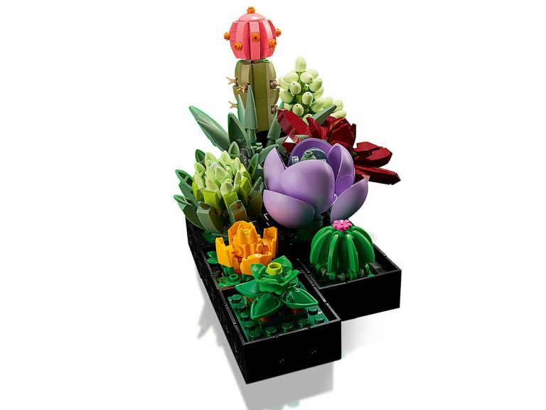 Sukkulenten LEGO Icons 10309 - Sukkulenten - Produktbild 07