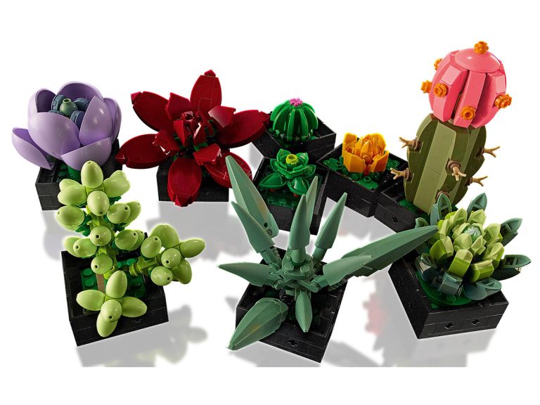 Sukkulenten LEGO Icons 10309 - Sukkulenten - Produktbild 08