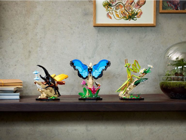 LEGO Ideas 21342 - Die Insektensammlung - Produktbild 02